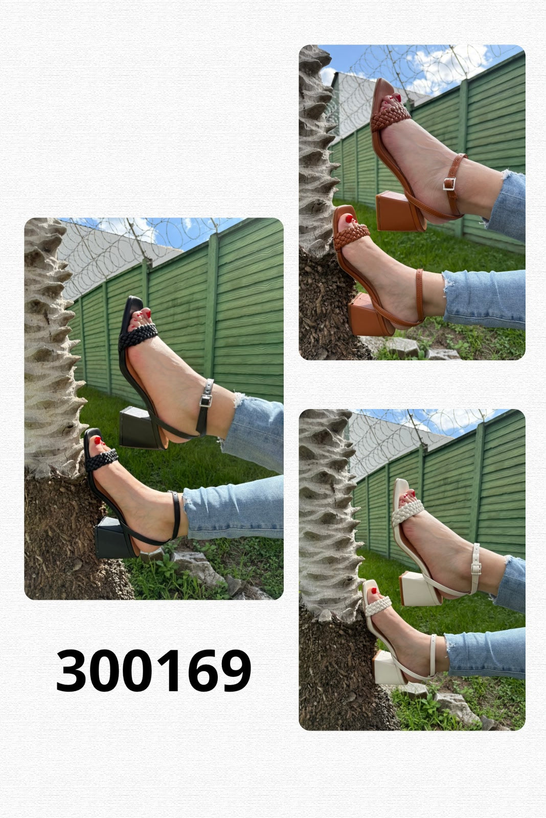 Tacon 300169