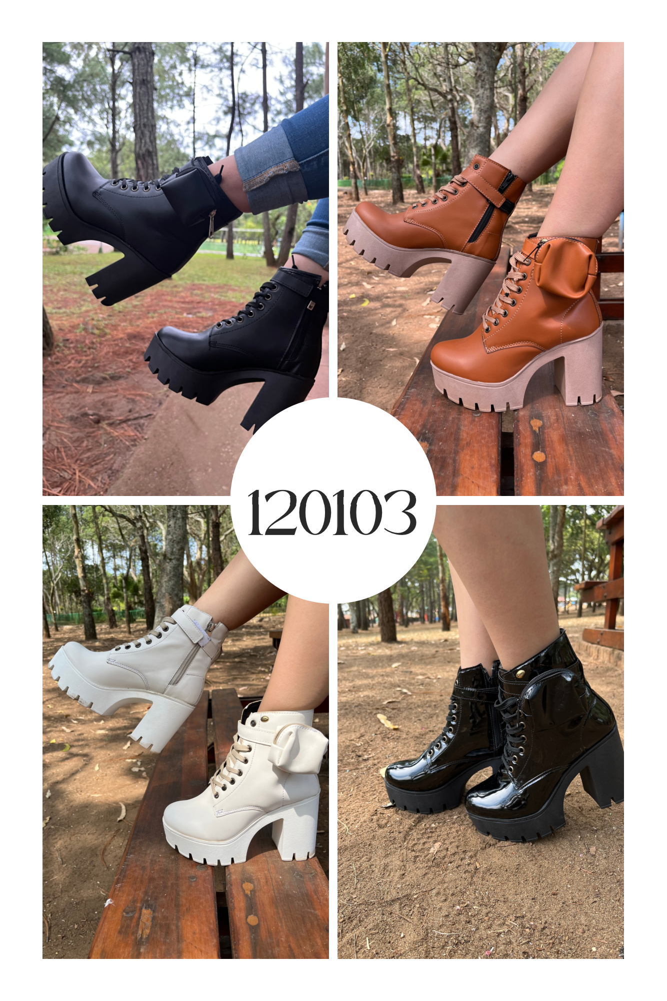 Botin 120103