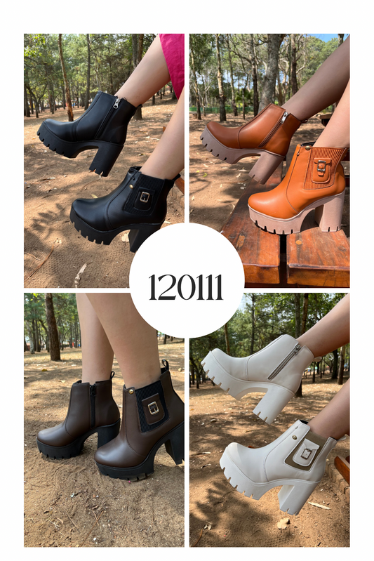 Botin 120111