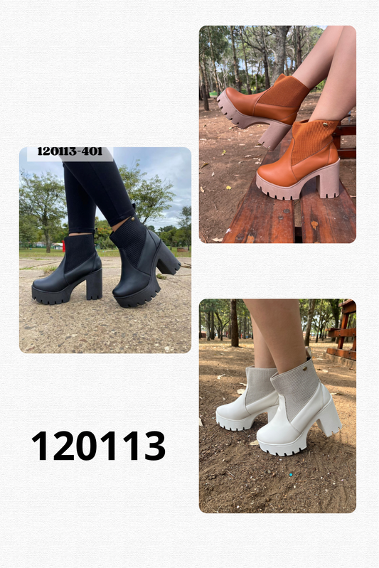 Botin 120113